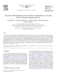 Tree Ferns: Monophyletic Groups and Their Relationships As Revealed by Four Protein-Coding Plastid Loci