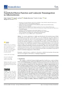 Endothelial Barrier Function and Leukocyte Transmigration in Atherosclerosis