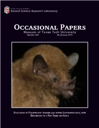 PDF Format from the Website of the Natural Science Research Laboratory, Museum of Texas Tech University (Nsrl.Ttu.Edu)