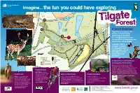Ride Tilgate