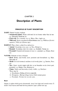 Sample Chapter
