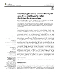 Evaluating Invasive Marbled Crayfish As a Potential Livestock For