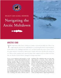Navigating the Arctic Meltdown