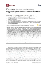 A Novel RNA Virus in the Parasitoid Wasp Lysiphlebus Fabarum: Genomic Structure, Prevalence, and Transmission