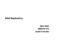 DNA Replication