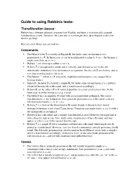 Guide to Hebrew Transliteration and Rabbinic Texts