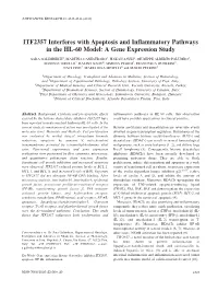 ITF2357 Interferes with Apoptosis and Inflammatory Pathways in the HL-60 Model: a Gene Expression Study
