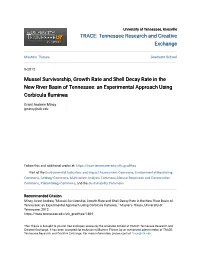 Mussel Survivorship, Growth Rate and Shell Decay Rate in the New River Basin of Tennessee: an Experimental Approach Using Corbicula Fluminea