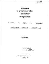 Pace Syntfletic Fne Its Report