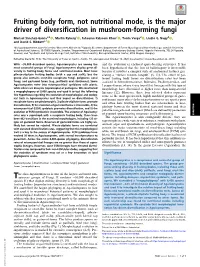 Fruiting Body Form, Not Nutritional Mode, Is the Major Driver of Diversification in Mushroom-Forming Fungi