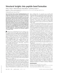 Structural Insights Into Peptide Bond Formation