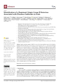 Identification of a Ruminant Origin Group B Rotavirus Associated With
