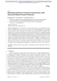 Modeling Enhancer-Promoter Interactions with Attention-Based Neural Networks