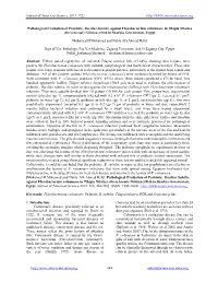 Pathological Evaluation of Probiotic, Bacillus Subtilis, Against