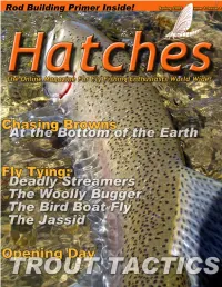 Spring2005.Pdf