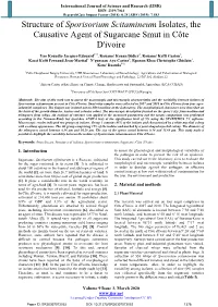 Structure of Sporisorium Scitamineum Isolates, the Causative Agent of Sugarcane Smut in Côte D'ivoire