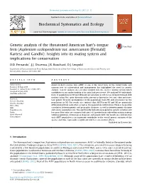 Genetic Analysis of the Threatened American Hart's-Tongue Fern (Asplenium Scolopendrium Var