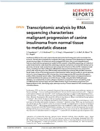 Transcriptomic Analysis by RNA Sequencing Characterises Malignant Progression of Canine Insulinoma from Normal Tissue to Metastatic Disease Y