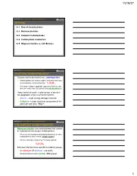 Chapter 12 Slides