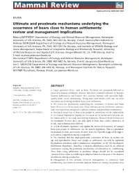 Ultimate and Proximate Mechanisms Underlying the Occurrence of Bears