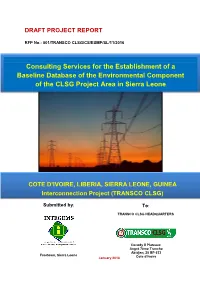 Draft Project Report