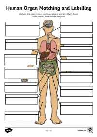 Human Organ Matching and Labelling Cut out the Organ Names and Descriptions and Stick Them Down in the Correct Boxes on the Diagram