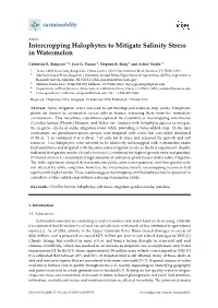 Intercropping Halophytes to Mitigate Salinity Stress in Watermelon