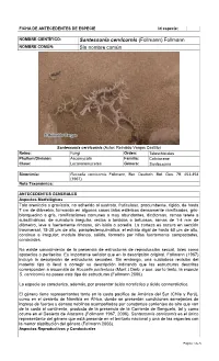 Santessonia Cervicornis (Follmann) Follmann NOMBRE COMÚN: Sin Nombre Común