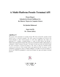 A Multiplatform Pseudo Terminal