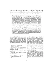 Laboratory Observations of Reproduction in the Deep-Water Zoarcids Lycodes Cortezianus and Lycodapus Mandibularis (Teleostei: Zoarcidae)1