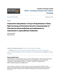 Toward Direct Biosynthesis of Drop-In Ready Biofuels in Plants: Rapid