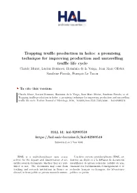 Trapping Truffle Production in Holes: a Promising Technique for Improving