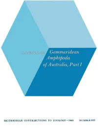 Gammaridean Amphipoda of Australia, Part I