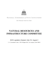 Natural Resources and Infrastructure Committee