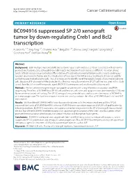 BC094916 Suppressed SP 2/0 Xenograft Tumor by Down-Regulating