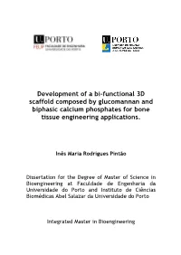 Development of a Bi-Functional 3D Scaffold Composed by Glucomannan and Biphasic Calcium Phosphates for Bone Tissue Engineering Applications