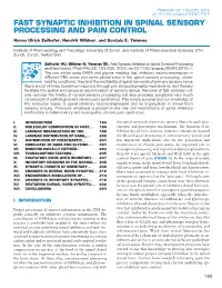 Fast Synaptic Inhibition in Spinal Sensory Processing and Pain Control