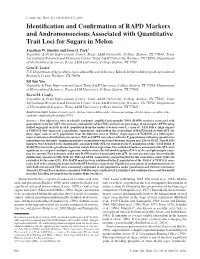Identification and Confirmation of RAPD Markers And