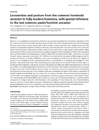 Locomotion and Posture from the Common Hominoid Ancestor to Fully Modern Hominins, with Special Reference to the Last Common Panin/Hominin Ancestor R