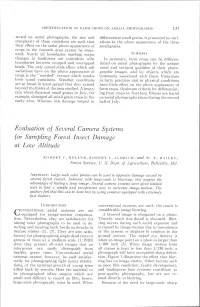 Evaluation of Several Camera Systems for Sampling Forest Insect Damage at Low Altitude