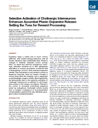 Selective Activation of Cholinergic Interneurons Enhances Accumbal Phasic Dopamine Release: Setting the Tone for Reward Processing