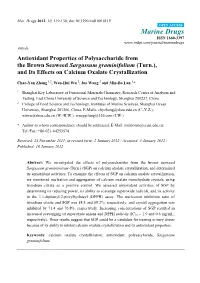 Antioxidant Properties of Polysaccharide from the Brown Seaweed Sargassum Graminifolium (Turn.), and Its Effects on Calcium Oxalate Crystallization