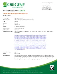 OR51B4 (NM 033179) Human Untagged Clone Product Data