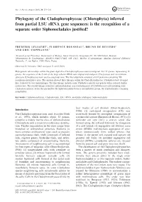 Phylogeny of the Cladophorophyceae (Chlorophyta) Inferred from Partial LSU Rrna Gene Sequences: Is the Recognition of a Separate Order Siphonocladales Justiﬁed?
