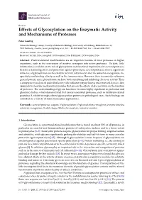 Effects of Glycosylation on the Enzymatic Activity and Mechanisms of Proteases