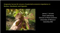 Grapevine Survey for Viruses of Potential Economic Importance in Norton, Chardonel, and Vignoles