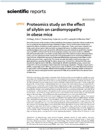 Proteomics Study on the Effect of Silybin on Cardiomyopathy in Obese