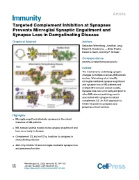 Targeted Complement Inhibition at Synapses Prevents Microglial Synaptic Engulfment and Synapse Loss in Demyelinating Disease