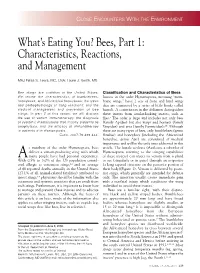 Bees, Part 1: Characteristics, Reactions, and Management