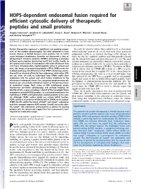 HOPS-Dependent Endosomal Fusion Required for Efficient Cytosolic Delivery of Therapeutic Peptides and Small Proteins